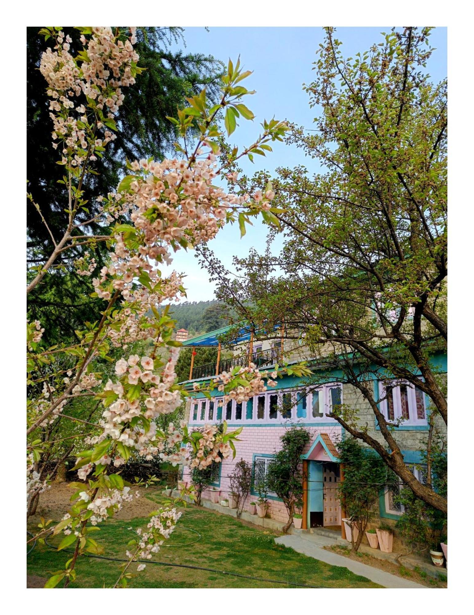 Farmvilla Homestay Kalpa Eksteriør bilde